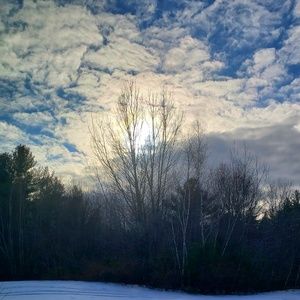 Meet your Posher, Amylynn